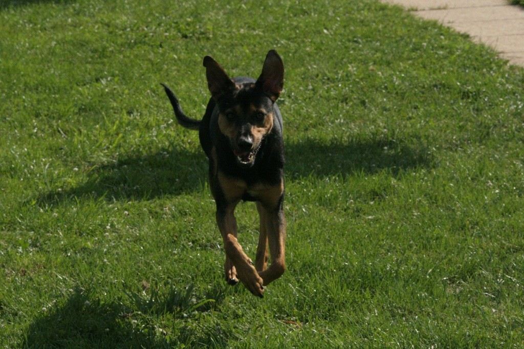 Khuno Des Sources De Sada