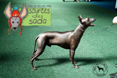 Des Sources De Sada