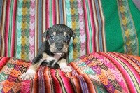 Paquito des Sources de Sada